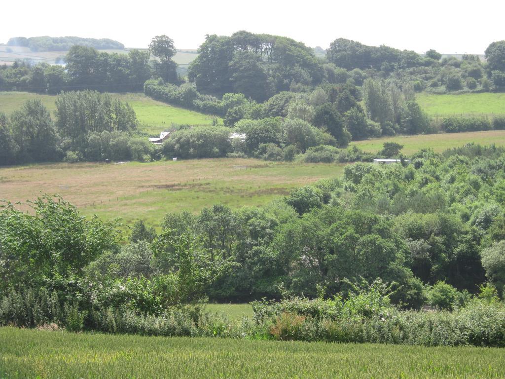 Hollamoor Farm Panzió Barnstaple Kültér fotó