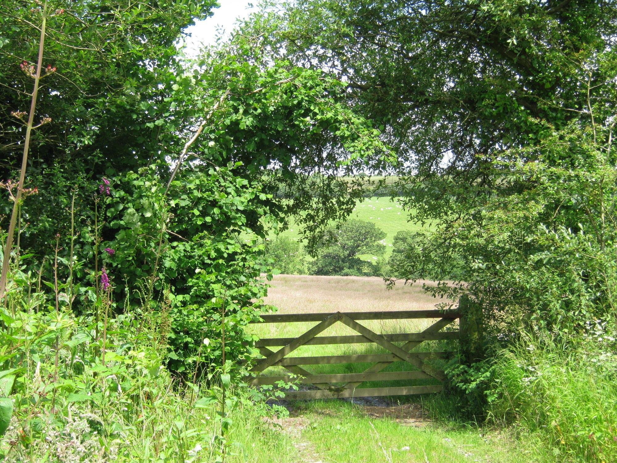 Hollamoor Farm Panzió Barnstaple Kültér fotó